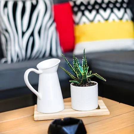Sea Breeze Flat كافالا