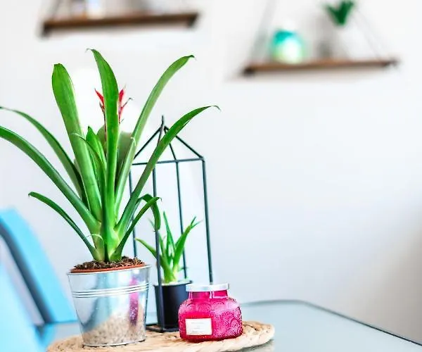 Sea Breeze Flat * Kavala