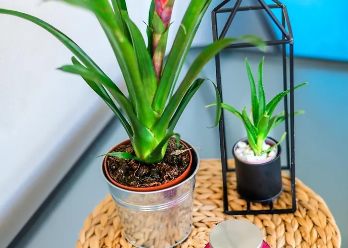 Sea Breeze Flat * Kavala